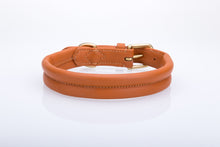 Pear Tannery Thick Soft Padded Flat Leather Dog Collar