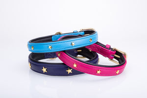 Pear Tannery Soft Padded Flat Leather Dog Collar star