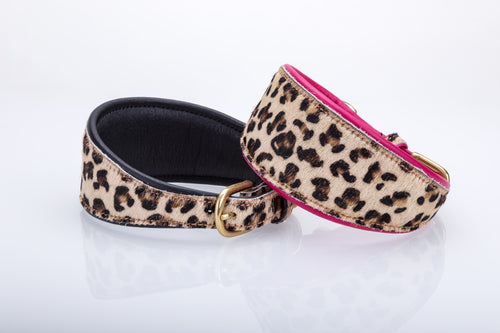 Pear Tannery Leopard Print Padded Flat Leather GreyHound Collar