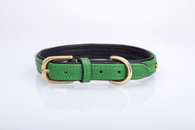 Pear Tannery Soft Padded Flat Leather Dog Collar star