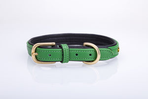 Pear Tannery Soft Padded Flat Leather Dog Collar star