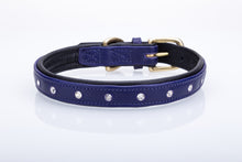 Pear Tannery Soft Padded Flat Leather Dog Collar Swarovki