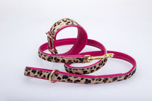 Pear Tannery Leopard Print Padded Flat Dog lead