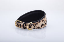 Pear Tannery Leopard Print Padded Flat Leather GreyHound Collar
