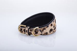 Pear Tannery Leopard Print Padded Flat Leather GreyHound Collar
