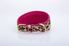 Pear Tannery Leopard Print Padded Flat Leather GreyHound Collar