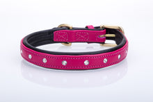Pear Tannery Soft Padded Flat Leather Dog Collar Swarovki