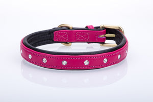 Pear Tannery Soft Padded Flat Leather Dog Collar Swarovki