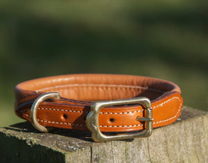 Pear Tannery Soft Padded Leather Dog Collar