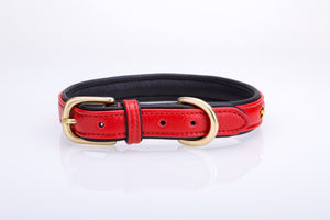 Pear Tannery Soft Padded Flat Leather Dog Collar star