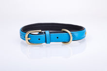 Pear Tannery Soft Padded Flat Leather Dog Collar star