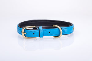 Pear Tannery Soft Padded Flat Leather Dog Collar star