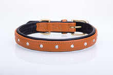 Pear Tannery Soft Padded Flat Leather Dog Collar Swarovki