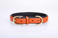 Pear Tannery Soft Padded Flat Leather Dog Collar star