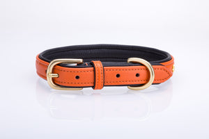 Pear Tannery Soft Padded Flat Leather Dog Collar star
